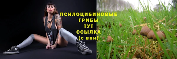 мескалин Абаза