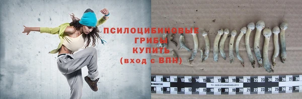 дмт Алексеевка