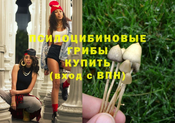 стаф Абдулино