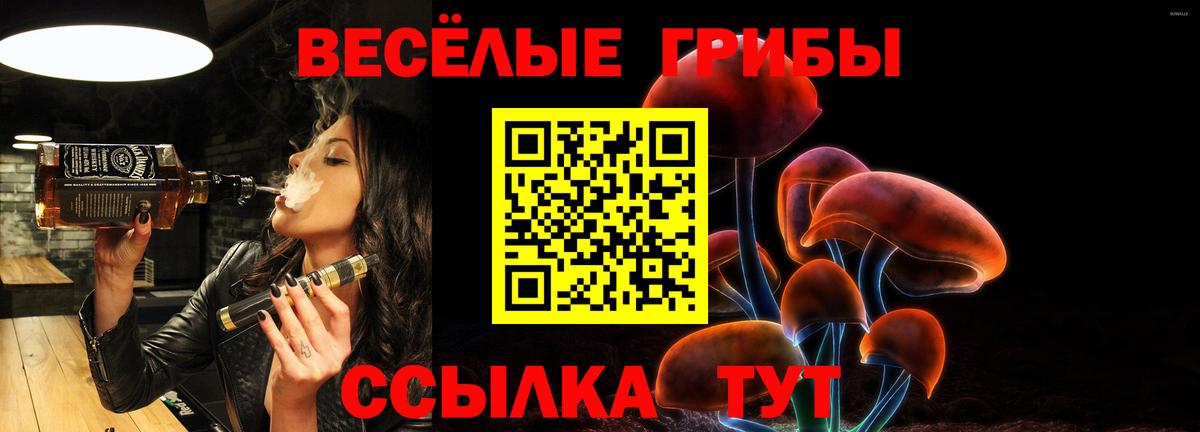 Галлюциногенные грибы Psilocybine cubensis Домодедово